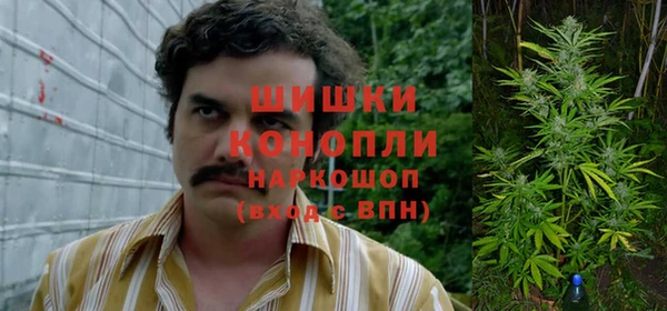 дурь Надым