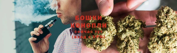 дурь Надым